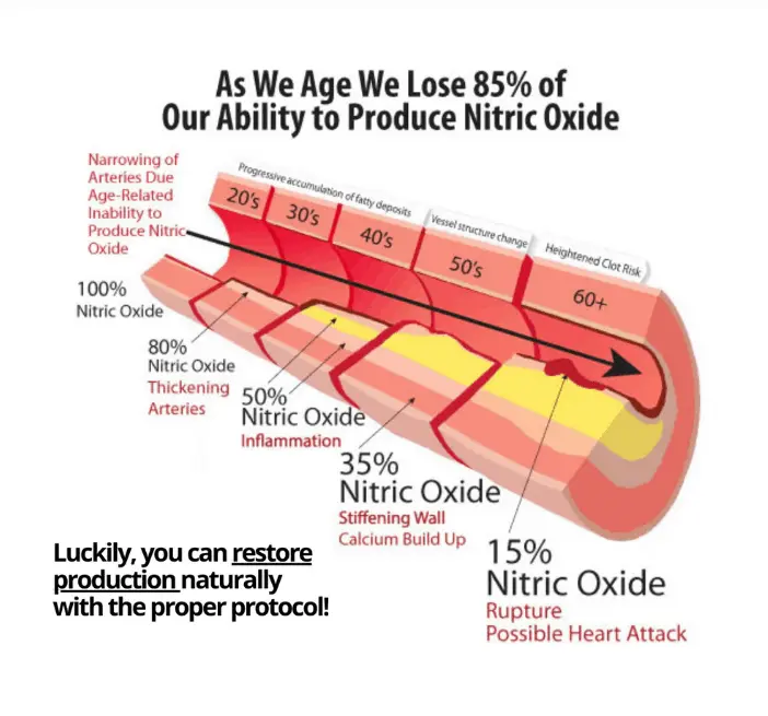 restore nitric oxide